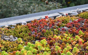 the cost of Anick green roof installation