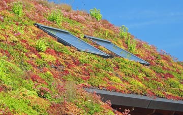 Anick living roof systems
