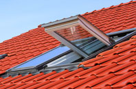 Anick roof window
